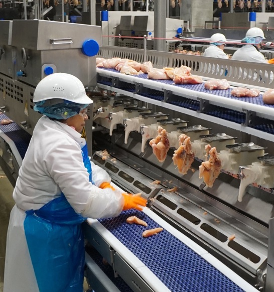 Costco Lpp Deboning Workers