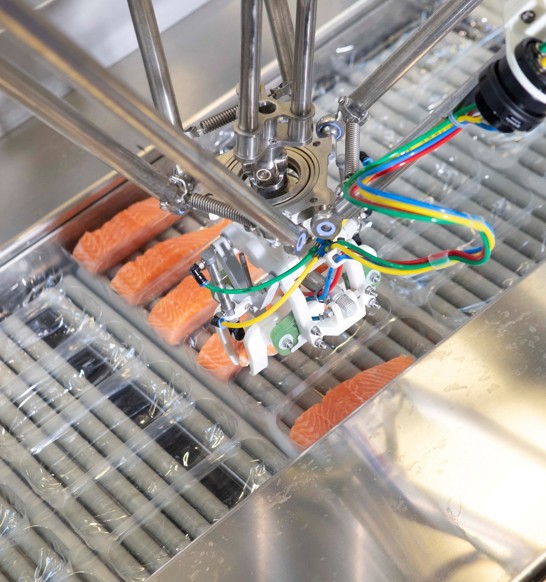 Robobatcher Thermoformer Saddlebags