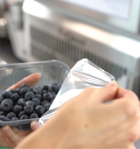 2021-02-22-Proseal-Tray-Sealing-Solutions-Soft-Fruit-Blueberries-03