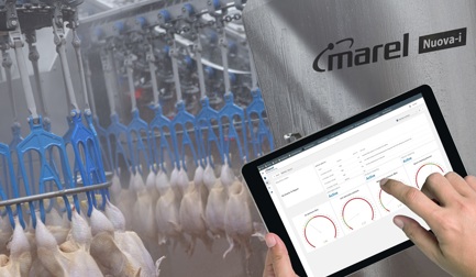 Por que a tecnologia de evisceradora mais recente é crucial em uma planta de processamento?