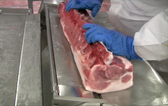 MAJA ESM 5800 manuelle Loin-Entfettung