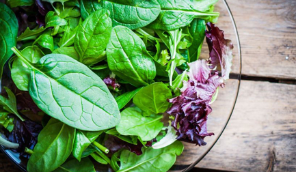 Cutting-edge solution: Why the Hydrocutter is providing a boost for spinach processors