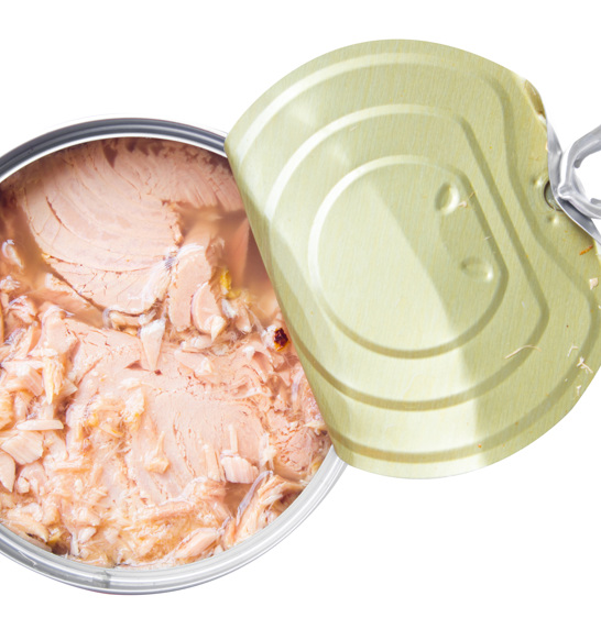 Tuna Canning 3