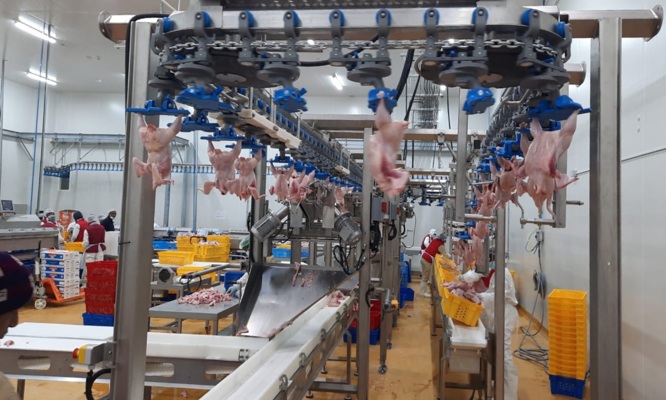 Automatización de corte accesible con ACM-NT Compact