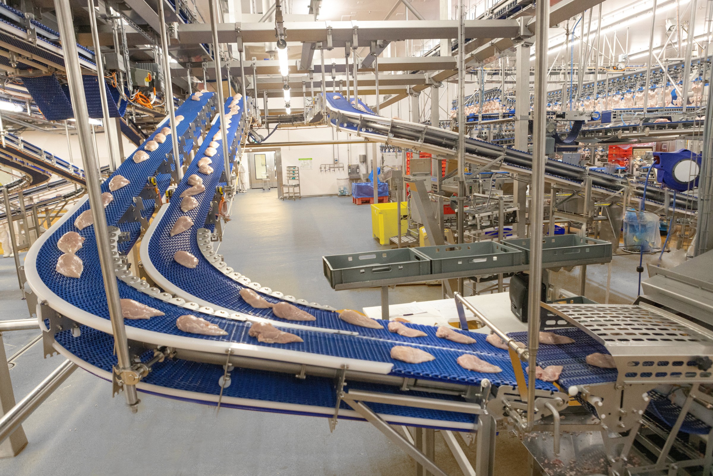 SystemFlex EnduraBelt