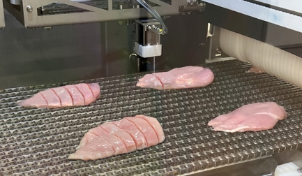 DSI™ Waterjet Portioning Systems