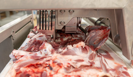 Removedor de escápula