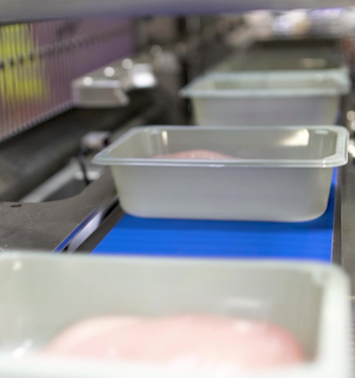 CP2 Case Packing And GT1 Poultry