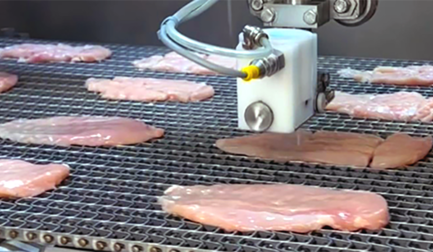 The DSI 812: waterjet portioning at an accessible price