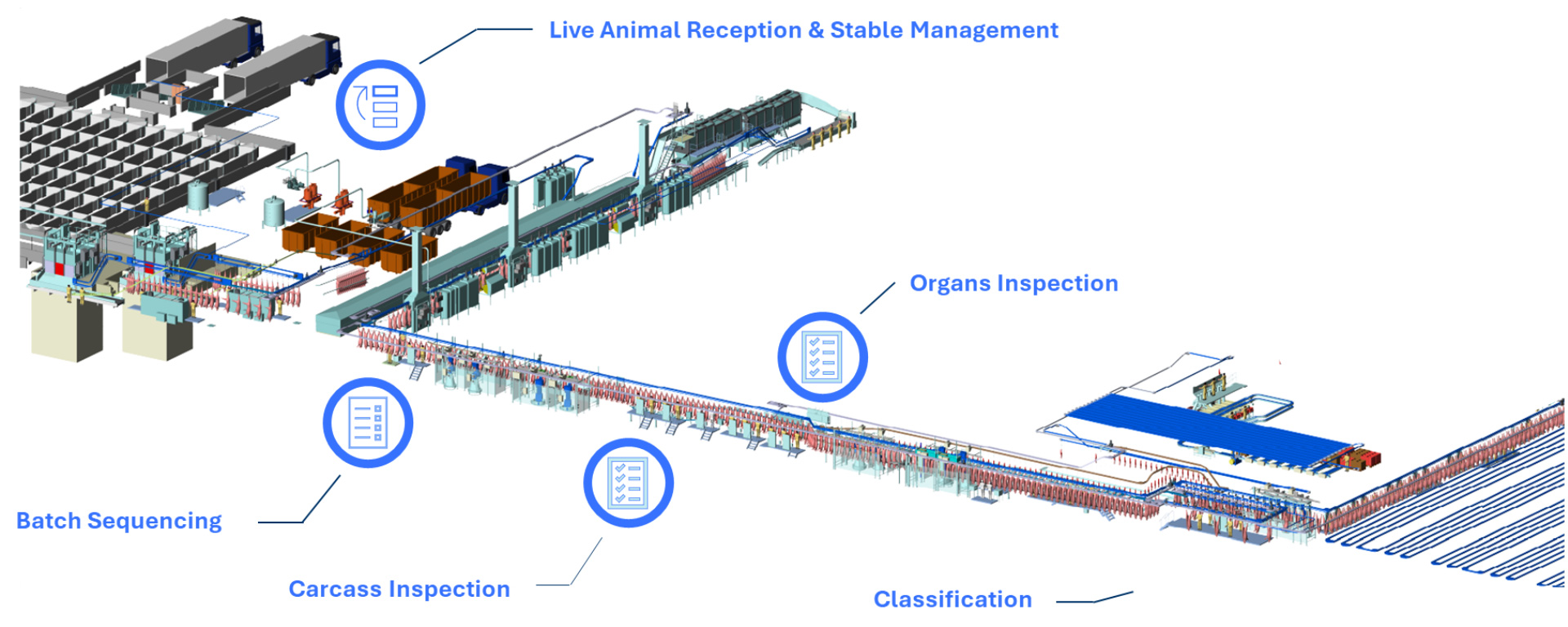 Pork Primary Process Solution Layout