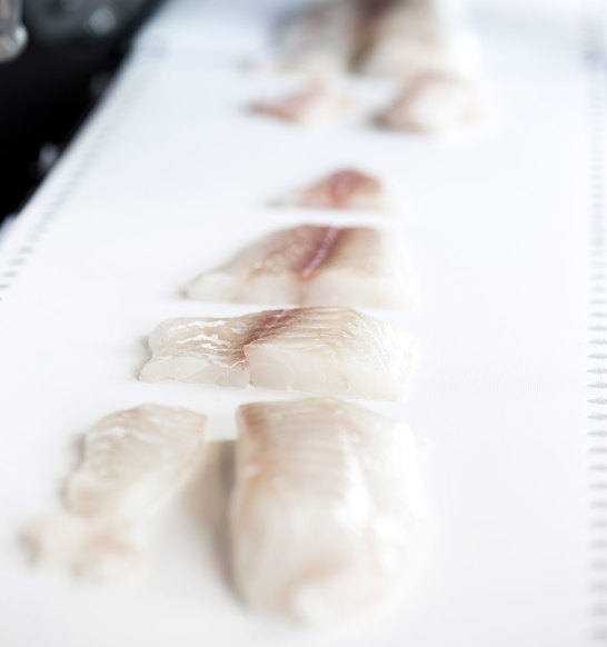 I Cut 130 Whitefish