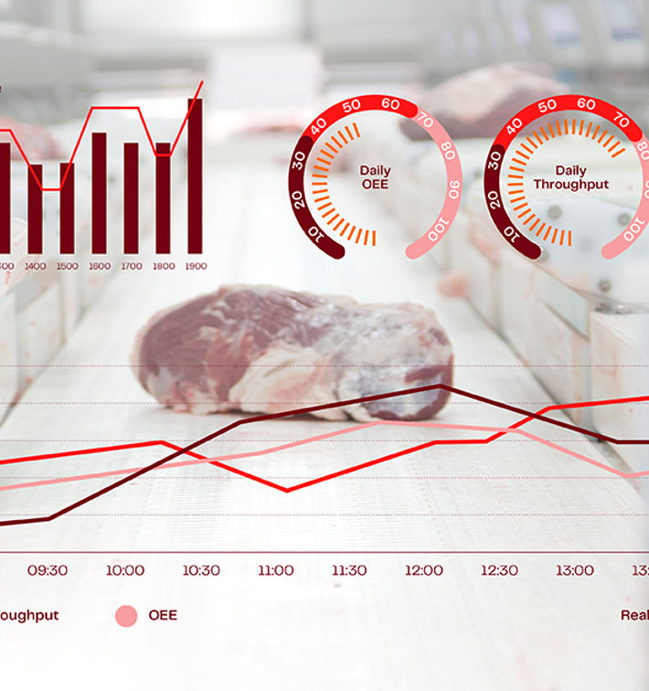 Margins Article Visual Assets