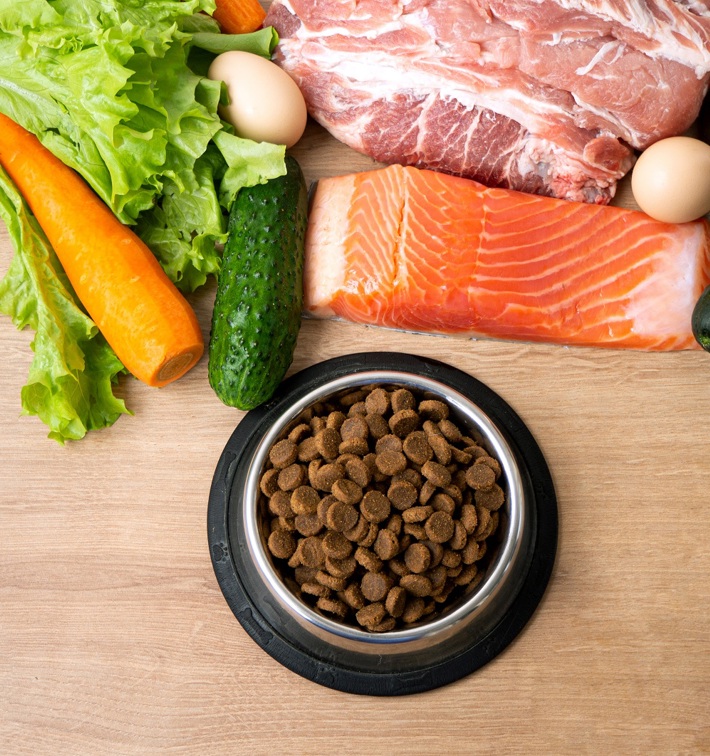 Premium Pet Food Production High Quality Protein