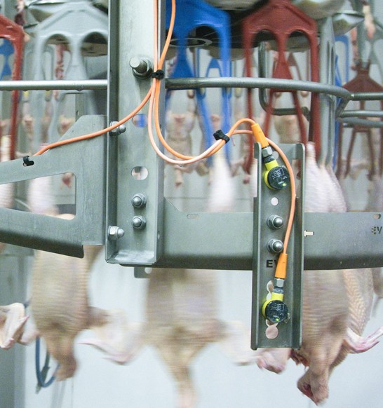 Impaqt Transfer Sensor