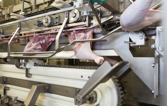 ACM T JL RT Anatomic Leg Cutter