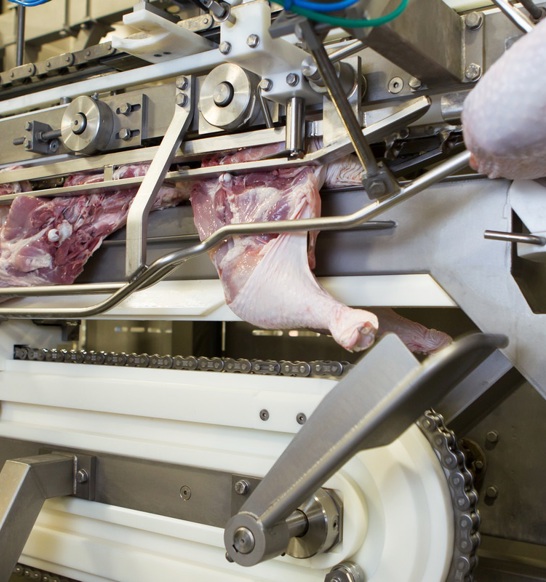 ACM T JL RT Anatomic Leg Cutter