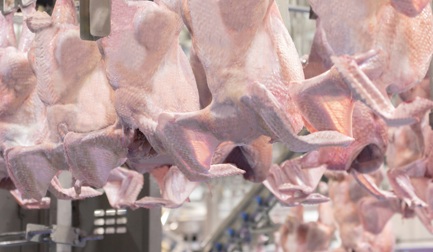 „Wir haben das Gebäude um den Prozess herum gestaltet.“