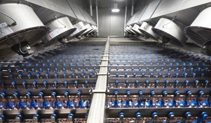 Continuing to lead the way in air chilling