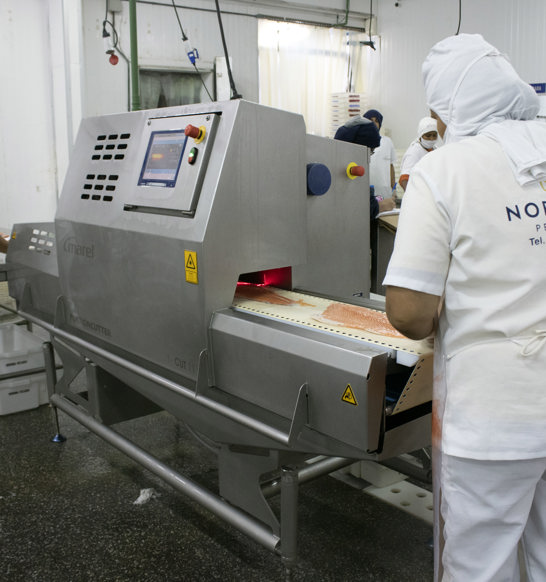 Growth through automation