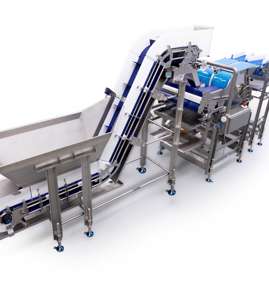 Singlefeed 2 Render 1