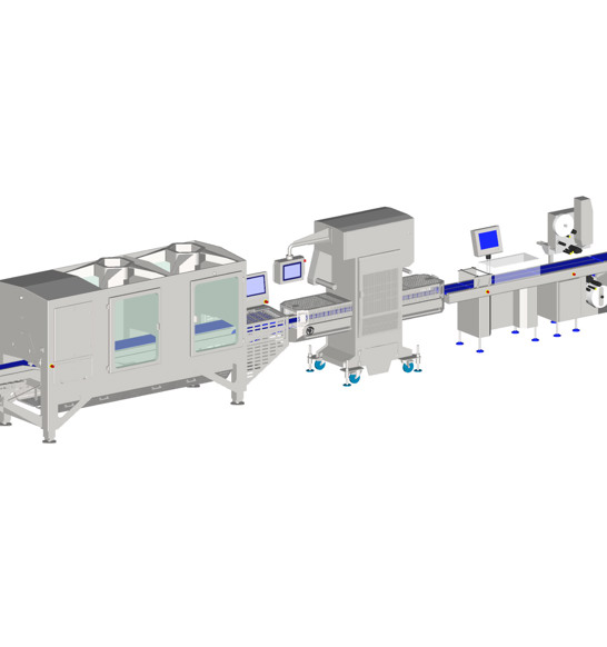 Tray Packing Sealing Labeling Line