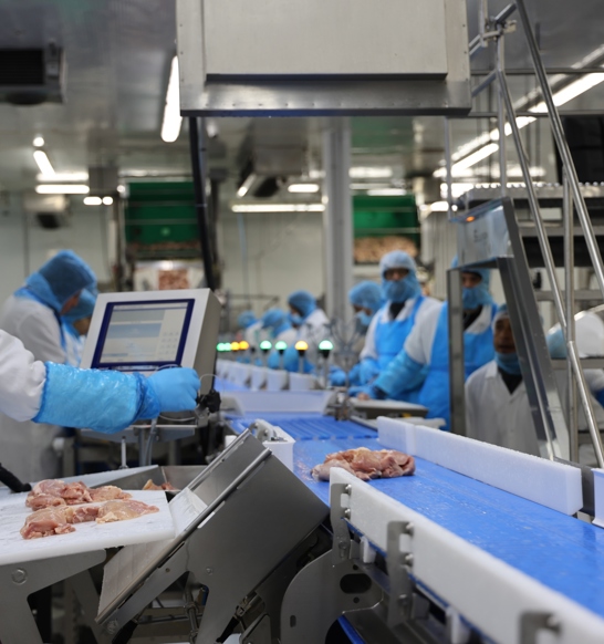 Central Bernard Streamline