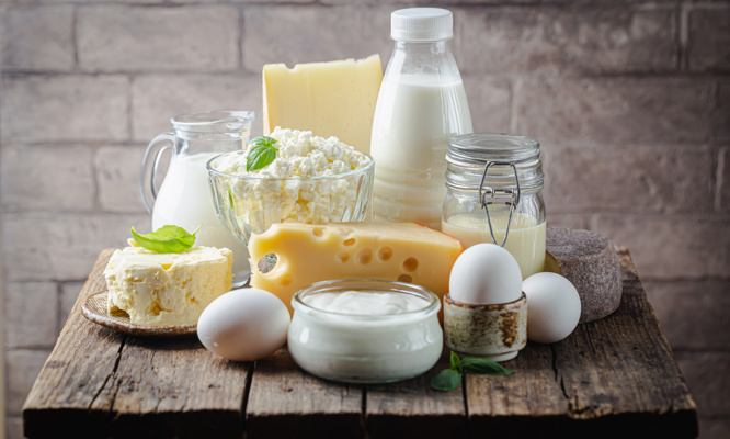 Dairy