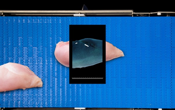 SensorX, a revolutionary X-ray inspection technology sets the standard in bone detection