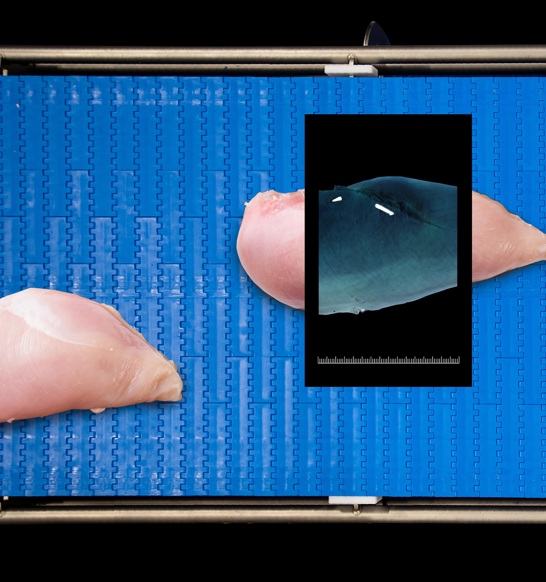 SensorX, a revolutionary X-ray inspection technology sets the standard in bone detection