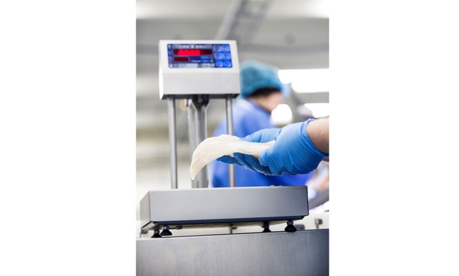 Bench & Marine Scales