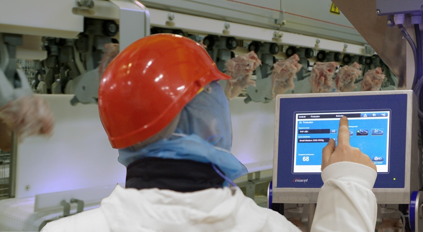 FHF Screen Kim Landscape