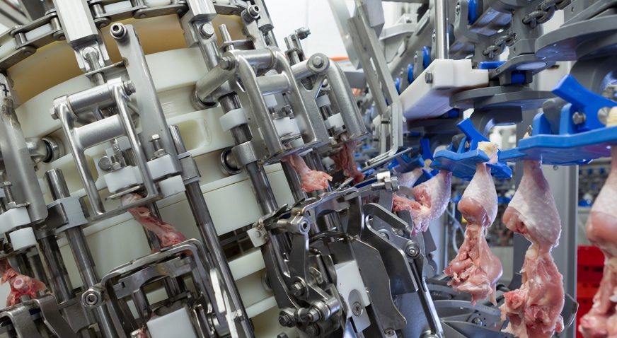 Thigh Fillet System Deboner