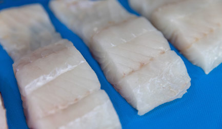 Seafood Expo NA 2026