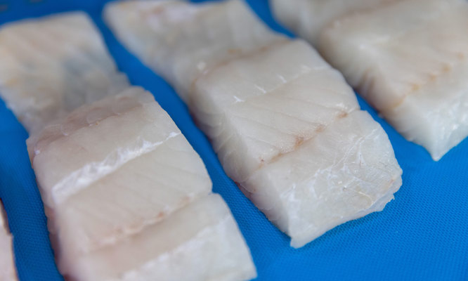 I-Cut 130 PortionCutter