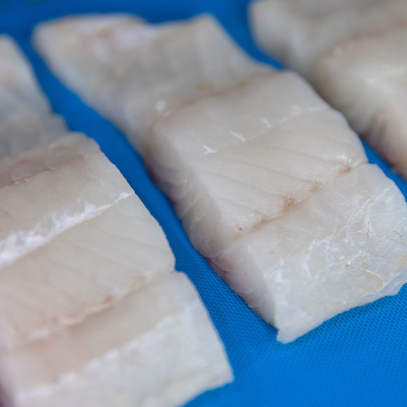 Seafood Expo North America 2026