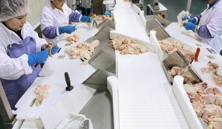 StreamLine for turkey