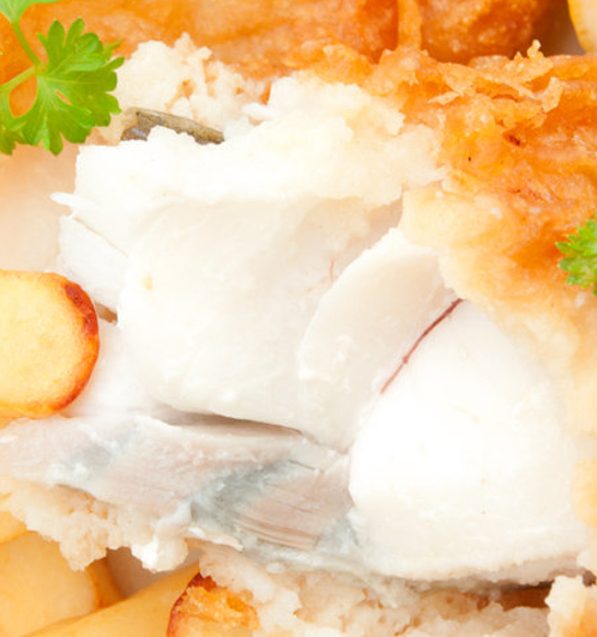 jbt_dry-fry_fish_stockphoto-e1630598284616