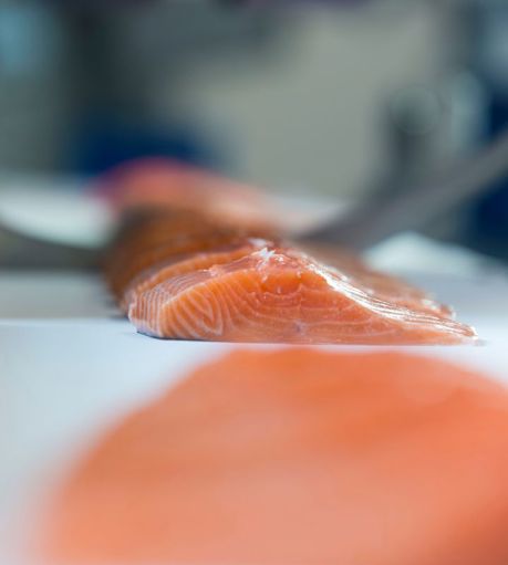 I Cut 130 Salmon