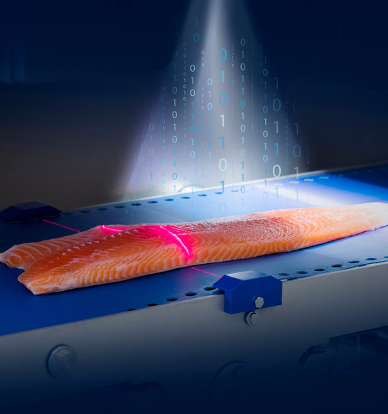 Salmon QC Scanner With Numbers