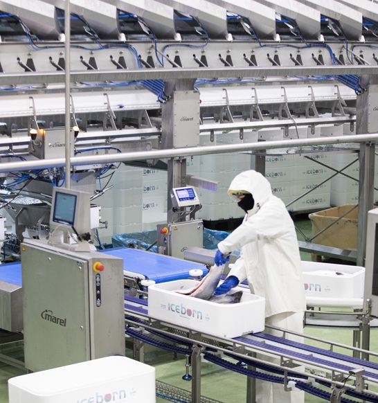 Fish Packing Station At Buladnstindur (1)