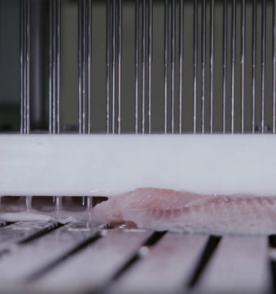 Whitefish Injection Solutions