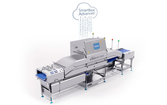 Sensorx Infeed Monitoring Smart Based Advanced