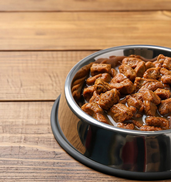 Wet Pet Food General