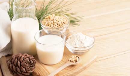Investing in the future: why plant-based beverages are a smart market segment for investment