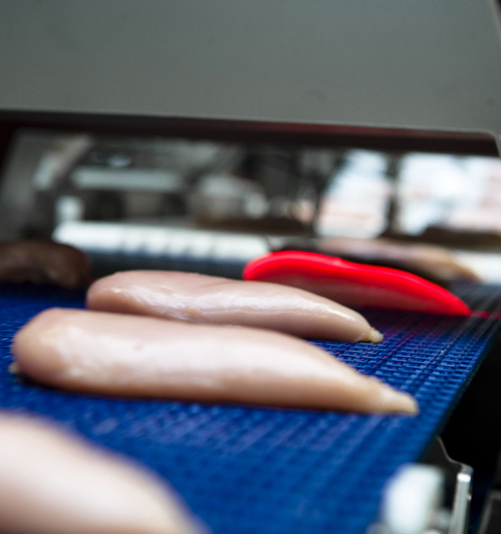 Marel food contamination inspection