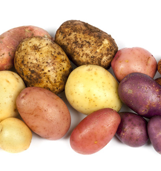 JBT-FPT-potatoes-767x421-1