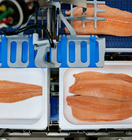 Robobatcher Box Salmon