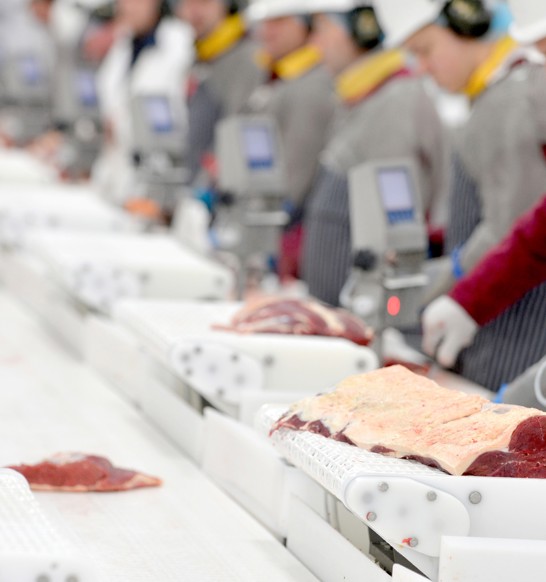Beef Boning